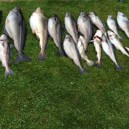 Solstrand Fjord Апартаменты *